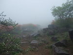 DSCF0717_hh.jpg