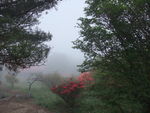 DSCF0719_hh.jpg