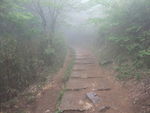 DSCF0720_hh.jpg
