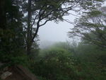 DSCF0724_hh.jpg