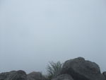 DSCF0744_hh.jpg