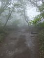 DSCF0759_hh.jpg
