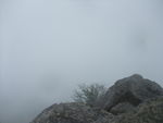 DSCF0768_hh.jpg