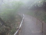 DSCF0776_hh.jpg