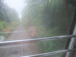 DSCF0787_hh.jpg