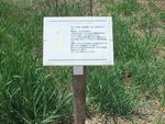 DSCF0851_hh.jpg