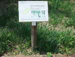 DSCF0852_hh.jpg