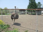 DSCF0857_hh.jpg