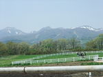 DSCF0872_hh.jpg
