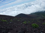 DSCF1586_hh.jpg