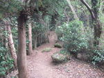 DSCF1861_hh.jpg