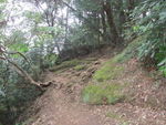 DSCF1863_hh.jpg
