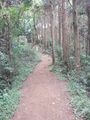 DSCF1866_hh.jpg