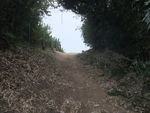 DSCF1867_hh.jpg