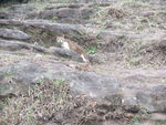 DSCF1875_hh.jpg