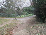 DSCF1878_hh.jpg