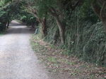 DSCF1881_hh.jpg