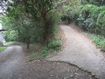 DSCF1882_hh.jpg