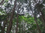 DSCF1884_hh.jpg