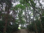 DSCF1885_hh.jpg