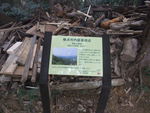 DSCF1887_hh.jpg