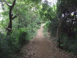 DSCF1891_hh.jpg