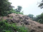 DSCF1892_hh.jpg