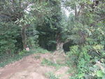 DSCF1904_hh.jpg