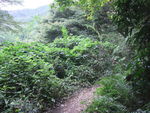 DSCF1907_hh.jpg