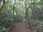 DSCF1908_hh.jpg