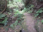 DSCF1909_hh.jpg