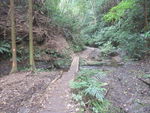 DSCF1910_hh.jpg