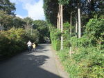 DSCF2413_hh.jpg