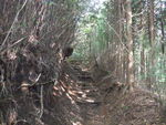 DSCF2419_hh.jpg