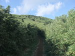 DSCF2422_hh.jpg