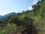 DSCF2433_hh.jpg
