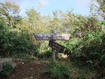 DSCF2440_hh.jpg