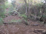 DSCF2443_hh.jpg