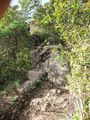 DSCF2445_hh.jpg
