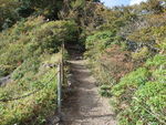 DSCF2446_hh.jpg