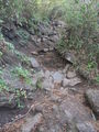 DSCF2449_hh.jpg