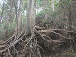 DSCF2495_hh.jpg