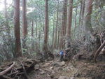 DSCF2496_hh.jpg