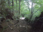 DSCF2498_hh.jpg