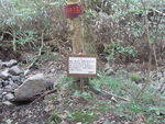 DSCF2504_hh.jpg