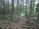 DSCF2506_hh.jpg