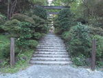DSCF2515_hh.jpg