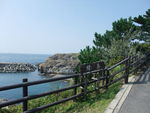 DSCF2727_hh.jpg