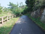 DSCF2728_hh.jpg