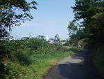 DSCF2729_hh.jpg